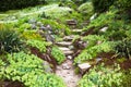 Stony path and stairs in the green garden Royalty Free Stock Photo