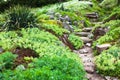 Stony path and stairs in the green garden Royalty Free Stock Photo