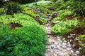 Stony path and stairs in the green garden Royalty Free Stock Photo