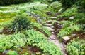 Stony path and stairs in the green garden Royalty Free Stock Photo