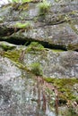 Stony rock with moss and plants. Royalty Free Stock Photo