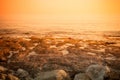 Stony shore of Mediterranean sea. Toned Royalty Free Stock Photo