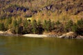 Stony shore with a sandy beach of the Katun mountain river, covered with coniferous forest. Altai Royalty Free Stock Photo