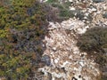 Stony soil, covered with shrubs and moss. Cyprus, Mediterranean Sea coast. Subtropical plants of Cyprus. Royalty Free Stock Photo