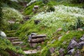 Stony stairs in the green garden Royalty Free Stock Photo