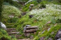 Stony stairs in the green garden Royalty Free Stock Photo