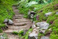 Stony stairs in the green garden Royalty Free Stock Photo