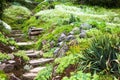 Stony stairs in the green garden Royalty Free Stock Photo