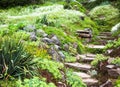 Stony stairs in the green garden Royalty Free Stock Photo