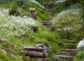 Stony stairs in the green garden Royalty Free Stock Photo