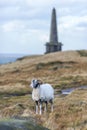 Stoodley pike mounument calderdale