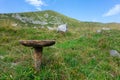 Stool for milking single-legged cows. Typical of shepherds