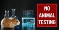 STOP ANIMAL TESTING. Guinea pig and laboratory glassware on table