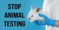 STOP ANIMAL TESTING. Scientist holding rabbit on blue background, closeup