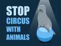 Stop circus with animals. Poster against abuse animals in circuses. Banner with text and grey fur seal on the ball on blue