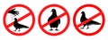 Stop, do not feed dove. Do not feed birds signs. Dove logo.