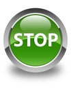 Stop glossy soft green round button
