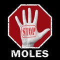 Open hand with the text stop moles