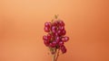 Stop Motion Revers Natural organic pink juicy grapes on a trend orange background