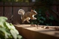 stop motion, with a series of photos showing backyard wildlife and critter in motion
