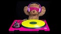 Teddy bear djing on turntables with headphones