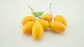 Stop motion Timelapse of Sweet Yellow Marian Plum or Mayongchid Maprang Marian Plum and Plum Mango thailand Orchard