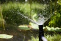 Stop motion of water sprinkler.