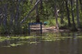 Stop off point in the Noosa Wetlands with lillypads Royalty Free Stock Photo