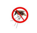 Stop/ Prohibit sign on mosquito Royalty Free Stock Photo