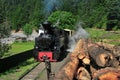 Steam locomotive in vaser valley,maramures-romania