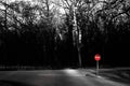 stop sign in black and white forest Royalty Free Stock Photo