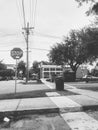 Stop sign road crosswalk street intersection black and white Florida Royalty Free Stock Photo