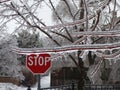 slippery icy road with STOP sign in red and white. thick ice covered tree branches. winter scene Royalty Free Stock Photo