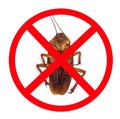 Stop the spread of germs from cockroaches.