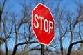 Stop Traffic Sign On Country Road Royalty Free Stock Photo