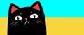 Stop war banner, poster, flyer, card, print design with grumpy black cat. Vector EPS10