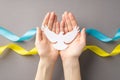 Stop the war in Ukraine concept. Top overhead view photo of female palms holding white dove over national flag on grey backdrop Royalty Free Stock Photo