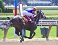 Saratoga Racing Photos- Stopchargingmaria