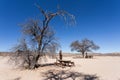 Stopover rest place in Kgalagadi transfontier park Royalty Free Stock Photo