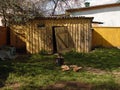 Stopped, abandoned work on chopping firewood against the backdrop of a bright yellow barn