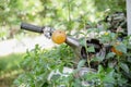 Stopped motorcycle in jungle covered by leaves of climbing plant