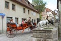 Stopping for a drink at the fountain