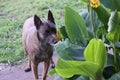 Stopping to smell the Flowers