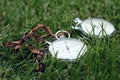 Stopwatch in the green grass Royalty Free Stock Photo