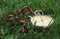 Stopwatch in the green grass Royalty Free Stock Photo
