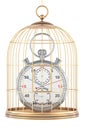 Stopwatch inside bird cage, 3D rendering Royalty Free Stock Photo