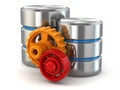 Storage administration concept. Database symbol and gears. Royalty Free Stock Photo