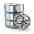 Storage administration concept. Database symbol and gears. Royalty Free Stock Photo