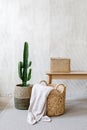 Storage box, wicker basket with plaid and cactus near wooden table