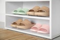 Storage cabinet with different pairs of rubber slippers indoors